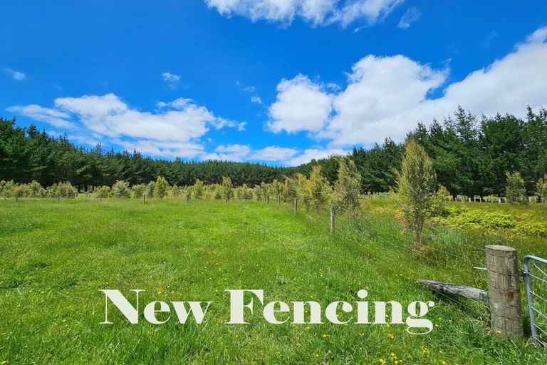 Photo of property in 1296 Wekaweka Road, Waimamaku, Kaikohe, 0473