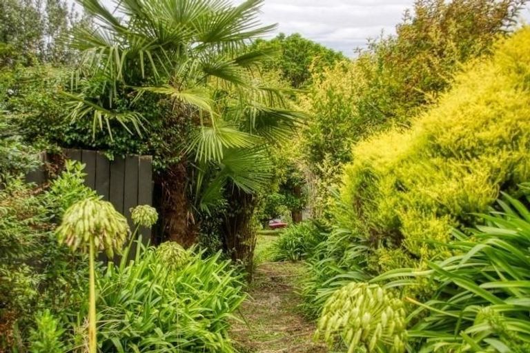 Photo of property in 3 Belgium Terrace, Mangapapa, Gisborne, 4010