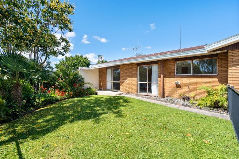 Photo of property in 114b Sixteenth Avenue, Tauranga South, Tauranga, 3112