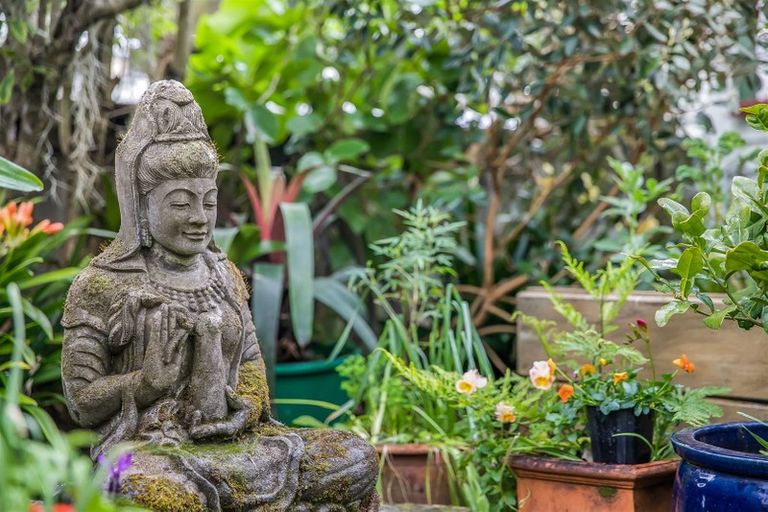 Photo of property in 1/55 Newington Road, Henderson, Auckland, 0612