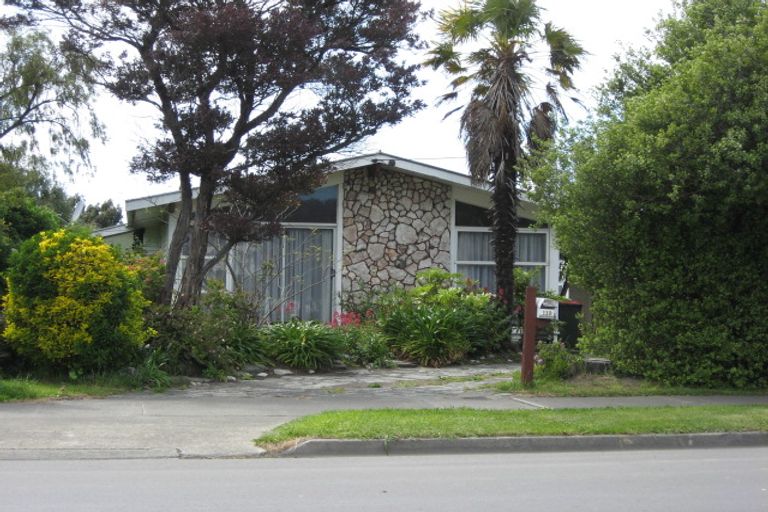 Photo of property in 119 Redwood Street, Redwoodtown, Blenheim, 7201