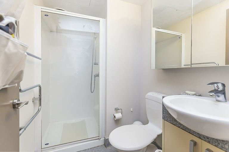 Photo of property in Dual Apartments, 306/142u Vivian Street, Te Aro, Wellington, 6011