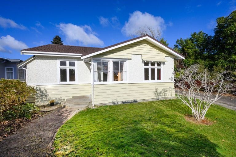 Photo of property in 38 Manson Street, Terrace End, Palmerston North, 4410