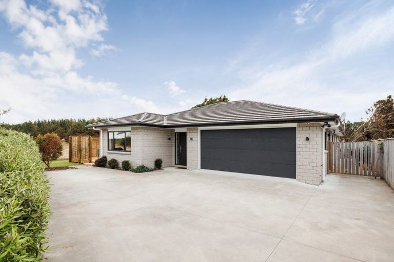Photo of property in 13 Oxnam Place, Foxton Beach, Foxton, 4815