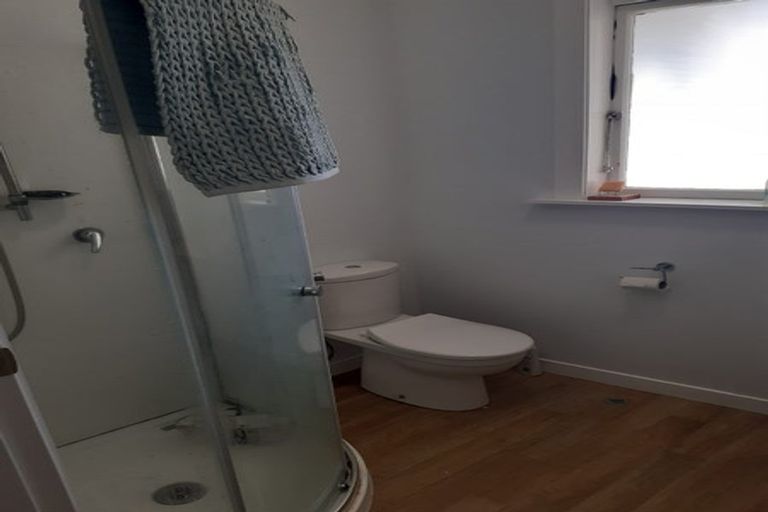 Photo of property in 56 Coromandel Street, Newtown, Wellington, 6021