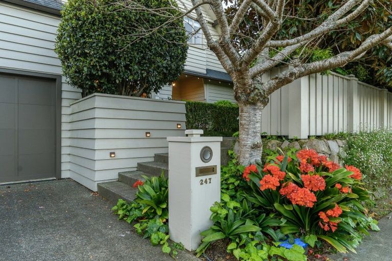 Photo of property in 247 Devonport Road, Tauranga, 3110