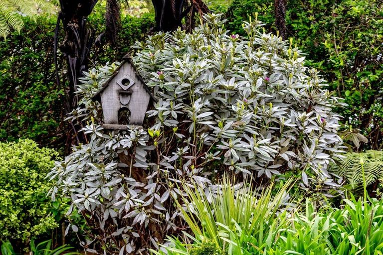 Photo of property in 24 Kilgour Road, Greymouth, 7805