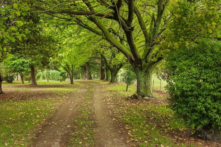Photo of property in 432 Deep Creek Road, Waimate, 7978