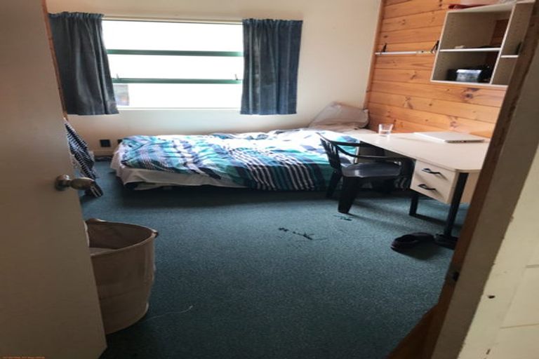 Photo of property in Te Awhina Apartments, 29/22u Sussex Street, Mount Cook, Wellington, 6021