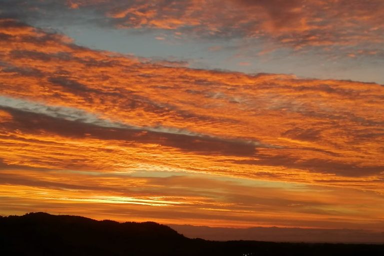 Photo of property in 49 Kakariki Grove, Waikanae, 5036