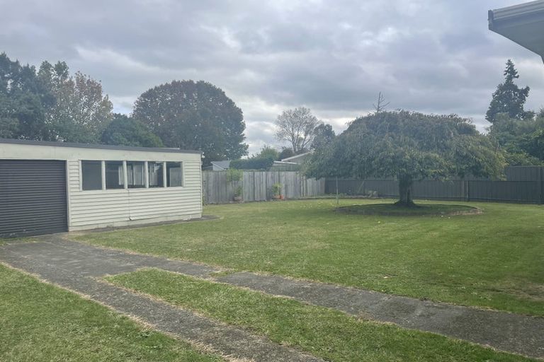 Photo of property in 41 Fitzroy Avenue, Fitzroy, Hamilton, 3206