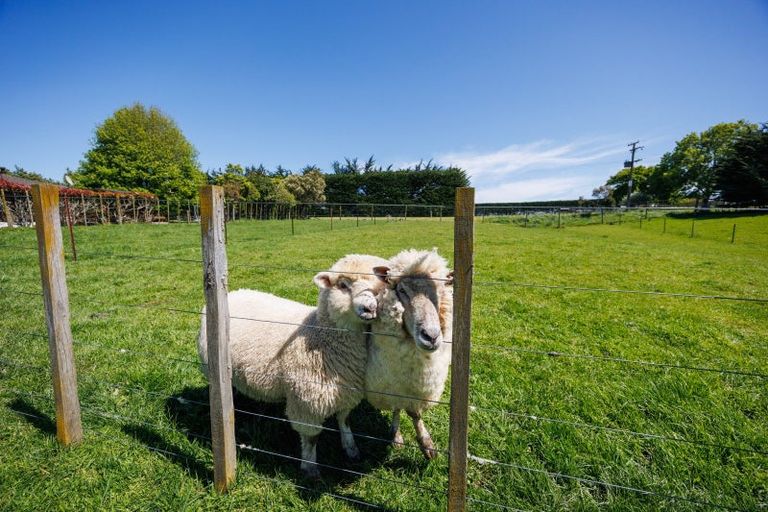 Photo of property in 76 Watershed Road, Bunnythorpe, Palmerston North, 4470
