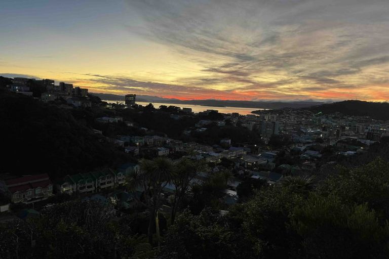 Photo of property in 37 Durham Street, Aro Valley, Wellington, 6021