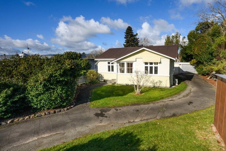 Photo of property in 38 Manson Street, Terrace End, Palmerston North, 4410