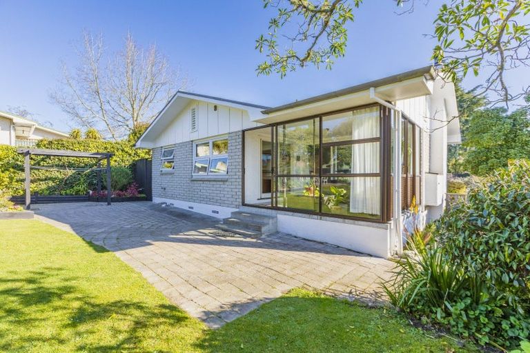Photo of property in 19 Selwyn Road, Havelock North, 4130