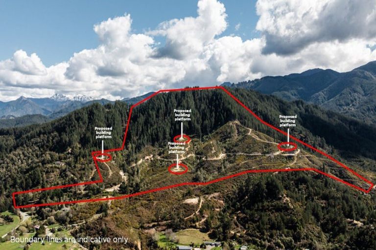 Photo of property in 990 Motueka River West Bank Road, Motueka Valley, Motueka, 7196