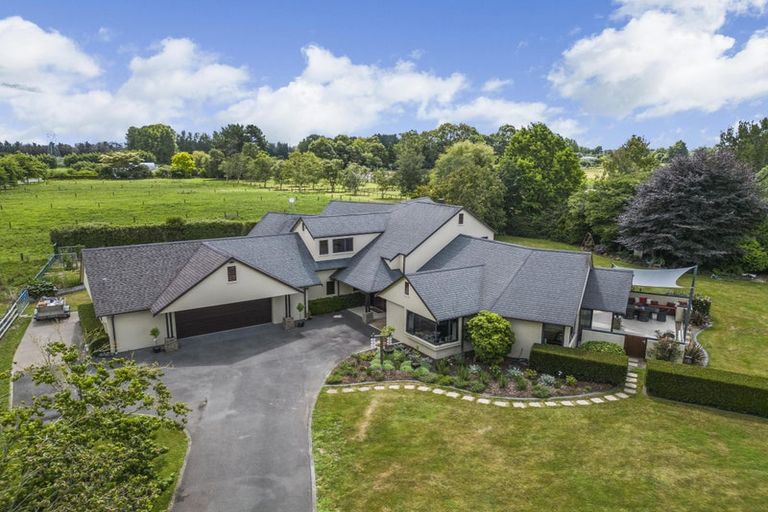 Photo of property in 55 Peake Road, Cambridge, Hamilton, 3283