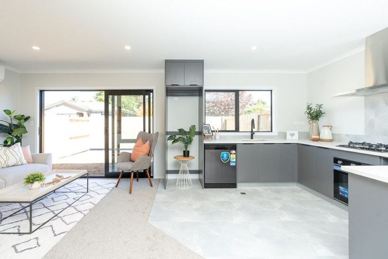 Photo of property in 22u2 Dalgliesh Avenue, Forest Lake, Hamilton, 3200