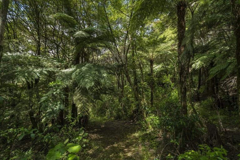 Photo of property in 185 Kaimarama Road, Kaimarama, Whitianga, 3591