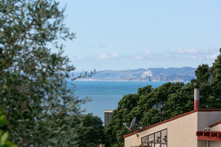 Photo of property in 20 Motukari Place, Onaero, Waitara, 4383