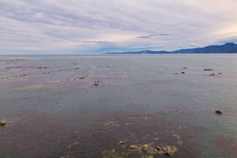 Photo of property in 1 Kotuku Road, South Bay, Kaikoura, 7300