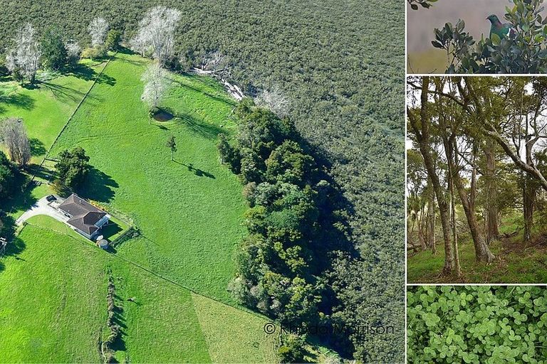 Photo of property in 50 Barlow Lane, Matakohe, 0594