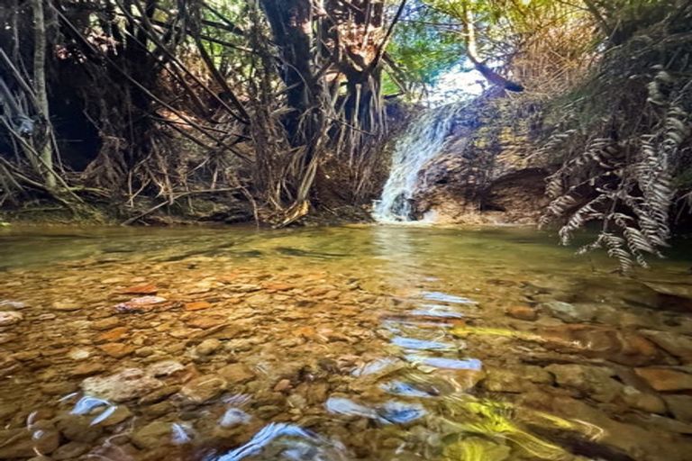 Photo of property in 102 Kennedy Road, Waikino, Waihi, 3682