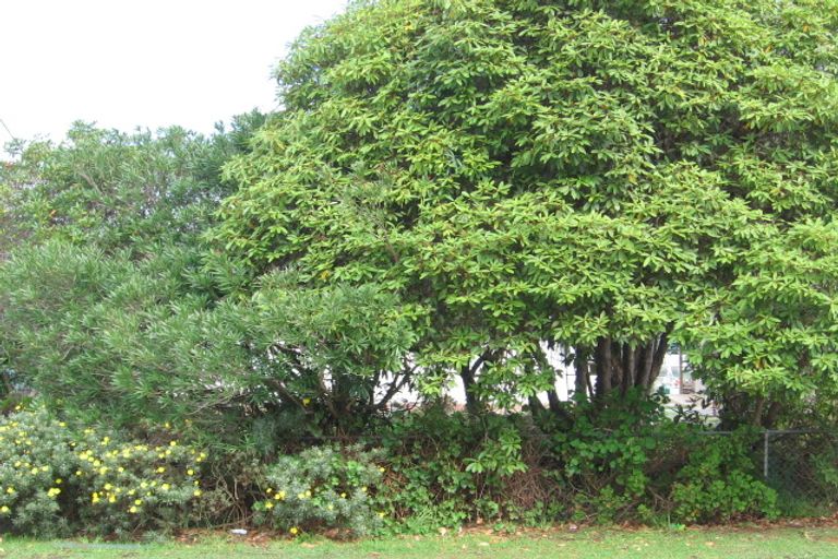 Photo of property in 15 Edwards Avenue, Henderson, Auckland, 0610