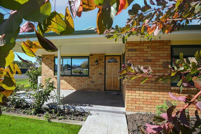 Photo of property in 1 Belgrove Drive, Waipukurau, 4200