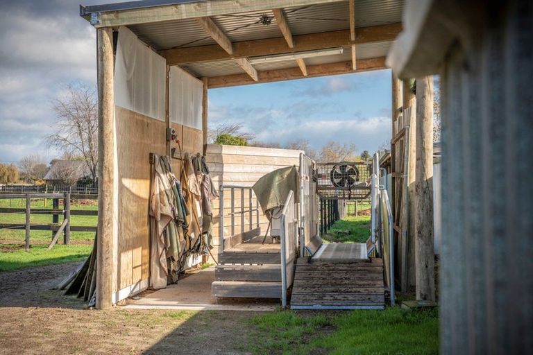 Photo of property in 2/101 Racecourse Road, Cambridge, 3493