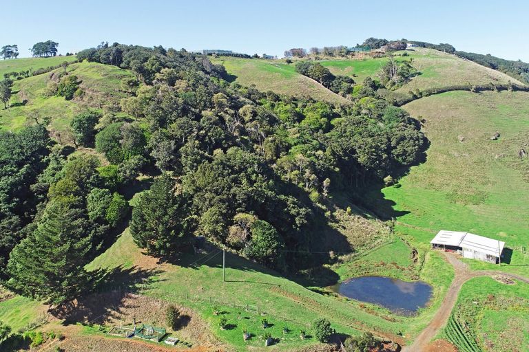 Photo of property in 173 Wily Road, Puni, Pukekohe, 2678