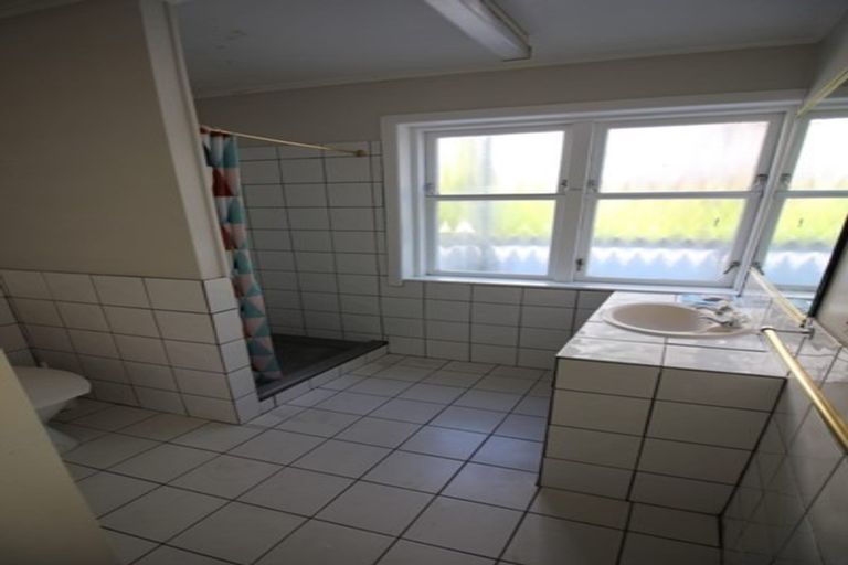 Photo of property in 113 Coromandel Street, Newtown, Wellington, 6021