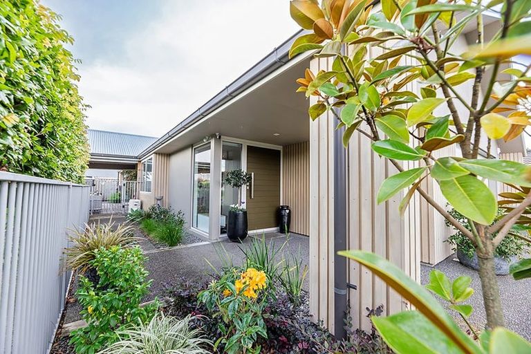 Photo of property in 299 Carmichael Road, Brookfield, Tauranga, 3110