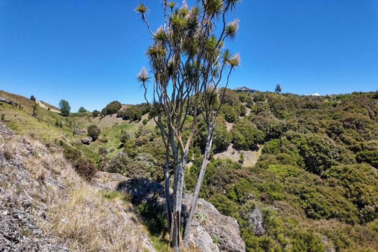 Photo of property in 16 Linden Close, Eskdale, Napier, 4182