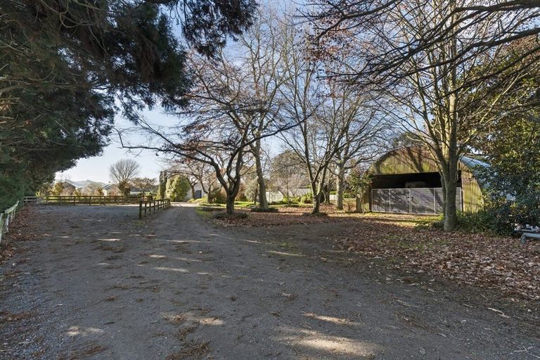 Photo of property in 365 Maungatautari Road, Cambridge, 3494