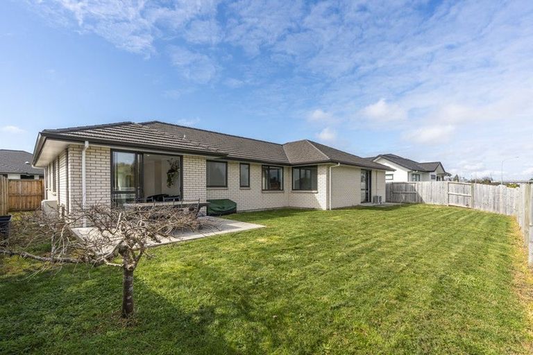 Photo of property in 52 Maggie Place, Chartwell, Hamilton, 3210