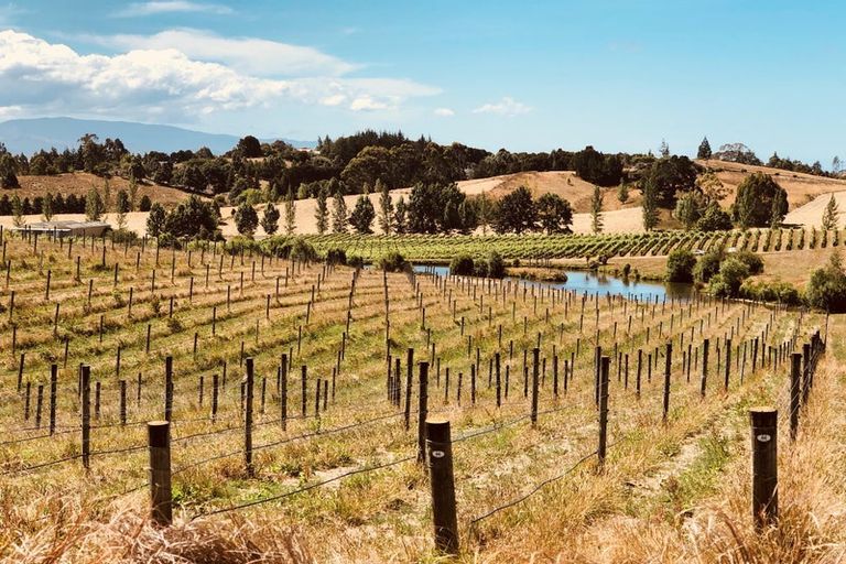 Photo of property in 49 Aranui Road, Mapua, 7005