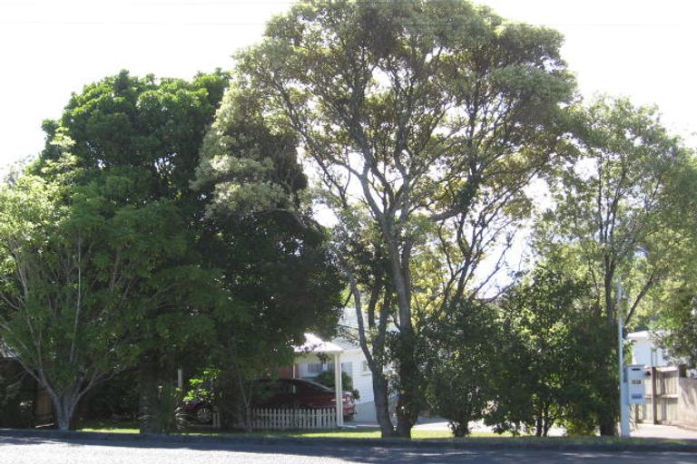 Photo of property in 23 Golf Road, New Lynn, Auckland, 0600