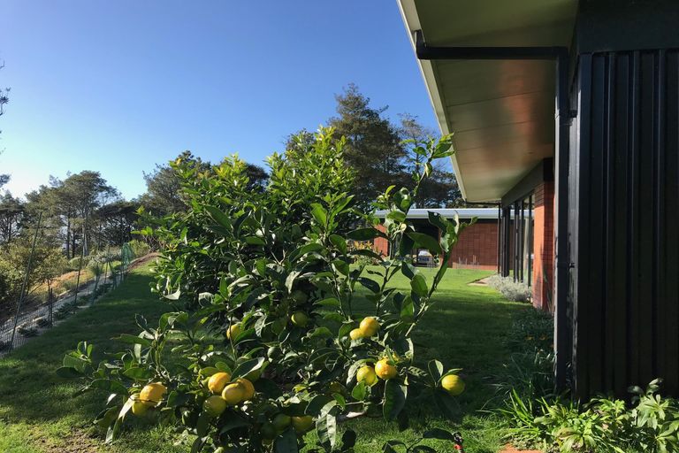 Photo of property in 671c Wainui Road, Raglan, 3297