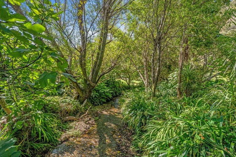 Photo of property in 19 Maraetai Place, Port Waikato, Tuakau, 2695