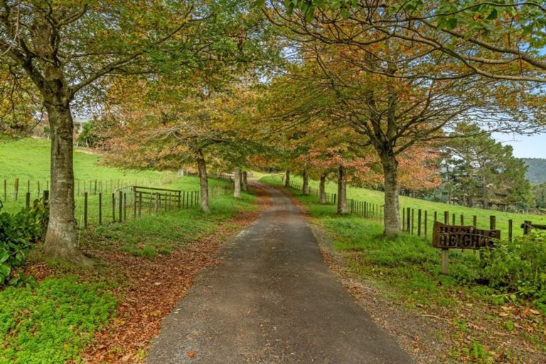 Photo of property in 43 Chard Road, Aongatete, Katikati, 3178