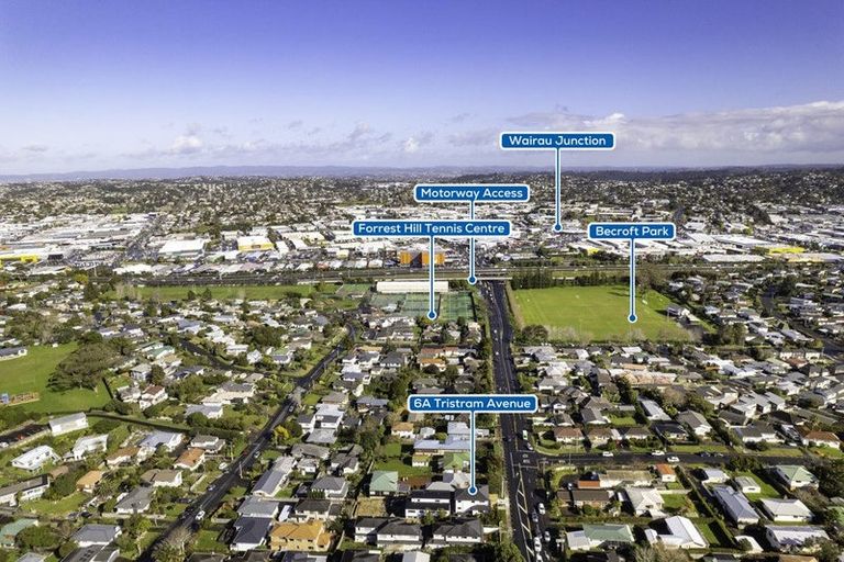 Photo of property in 6a Tristram Avenue, Forrest Hill, Auckland, 0620