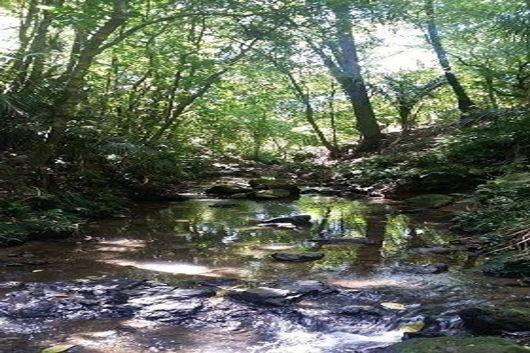 Photo of property in 29 Parkland Crescent, Te Kamo, Whangarei, 0112