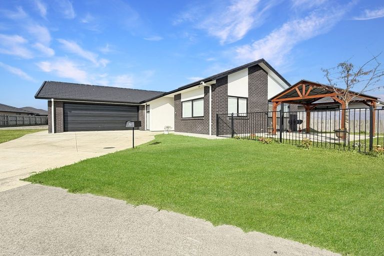 Photo of property in 79 Hinemoa Street, Levin, 5510