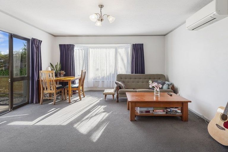 Photo of property in 115f3 Owen Street, Newtown, Wellington, 6021