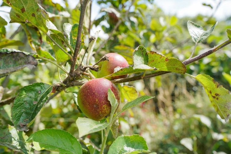 Photo of property in 30 Taylor East, Makarewa, Invercargill, 9876