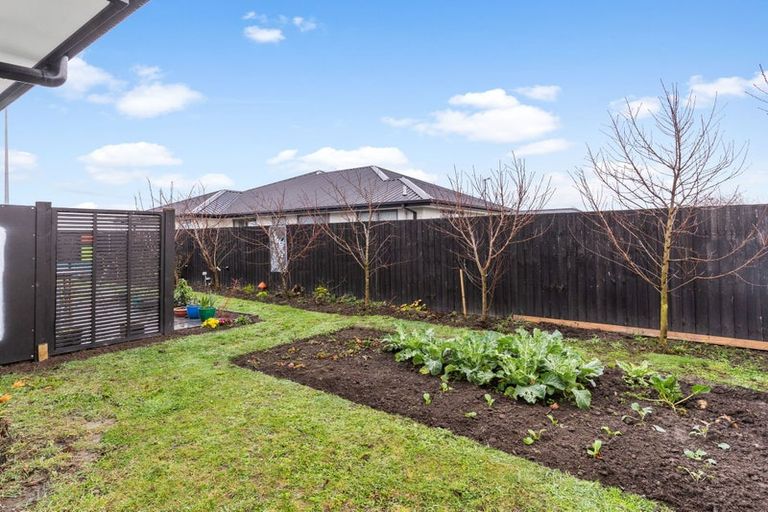 Photo of property in 89 Edward Street, Lincoln, 7608