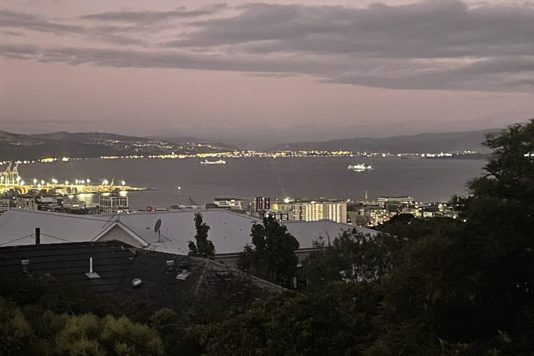 Photo of property in 29 Tanera Crescent, Brooklyn, Wellington, 6021