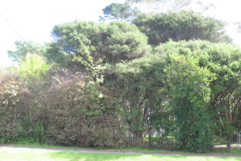 Photo of property in 25 Forest Hill Road, Henderson, Auckland, 0612