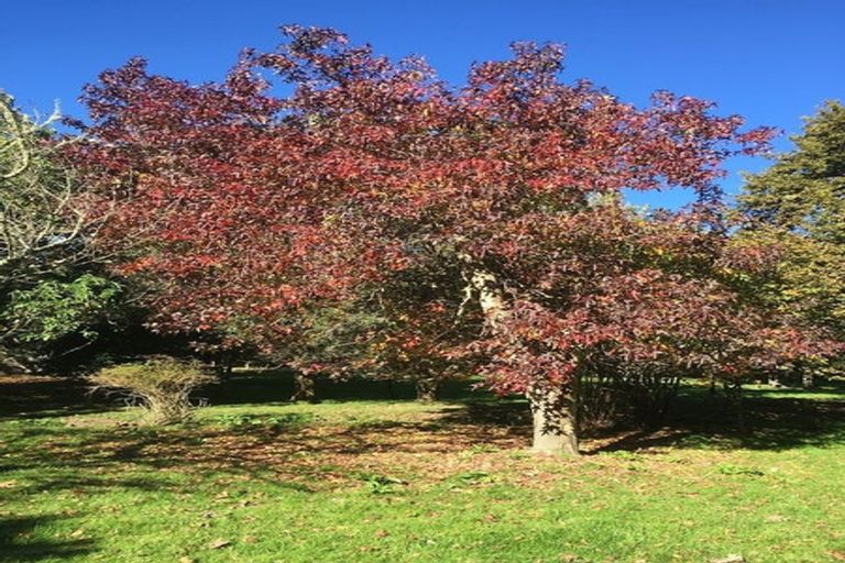 Photo of property in 3 West Beach Road, Mohaka, Raupunga, 4189